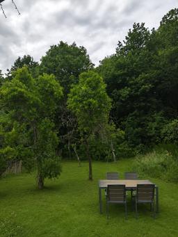 Obstgarten - Rurberg - Bild 4