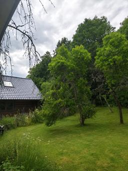 Obstgarten - Rurberg - Bild 20