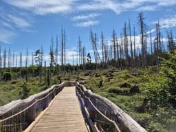 Ferienhaus Haselnuss - Bild 35