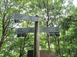 Ferienhaus Haselnuss - Bild 38