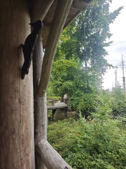 Ferienhaus Haselnuss - Bild 41