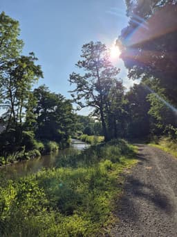 EifelOase 1 - EG Schleiden - Bild 34