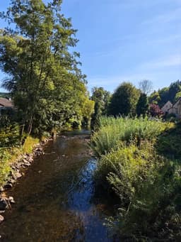 Große Waldoase - Schleiden - Bild 2