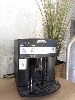 Große Waldoase - Schleiden - Bild 38