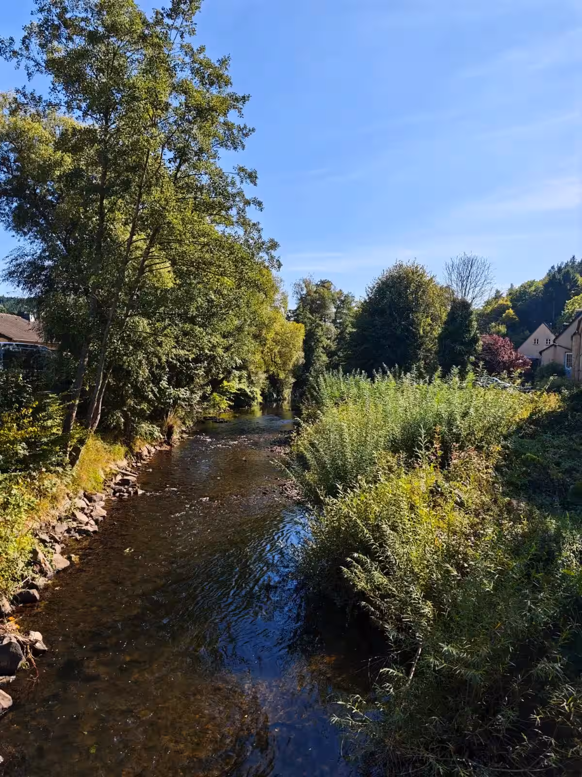 Große Waldoase - Schleiden