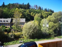 Große Waldoase - Schleiden - Bild 72