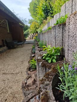 2 Flüsse - Gemünd - Bild 2