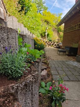 2 Flüsse - Gemünd - Bild 16