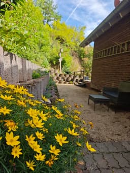 2 Flüsse - Gemünd - Bild 64