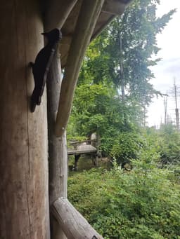 Ferienhaus Waldoase - Schleiden - Bild 45