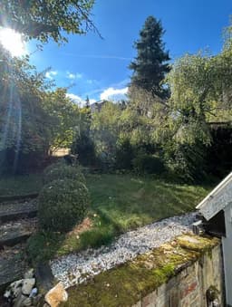 Wintergarten - Gemünd - Bild 22