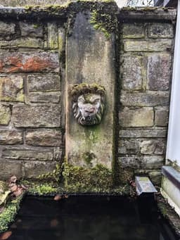 Ferienhaus Wintergarten - Gemünd - Bild 32