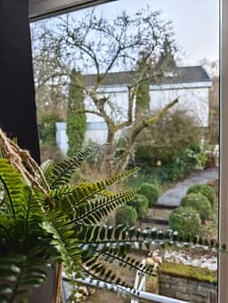 Ferienhaus Wintergarten - Gemünd - Bild 41