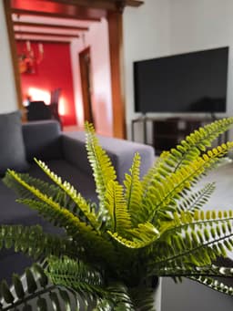 Ferienhaus Linnich - Bild 15