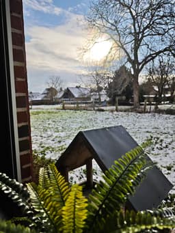 Ferienhaus Linnich - Bild 24