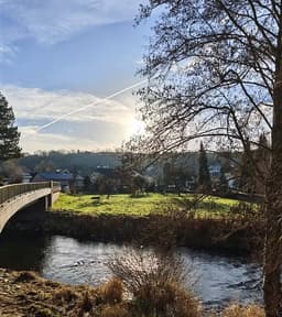 Eifelflair 1 - EG - Bild 12