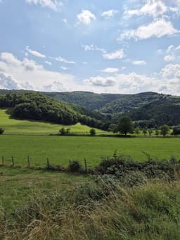 Tiny-Eifel-House Monschau-Rohren - Bild 18