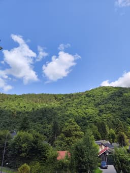 Tiny-Eifel-House Monschau-Rohren - Bild 34