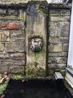 Ferienhaus Eifelflair mit Wintergarten - Bild 40